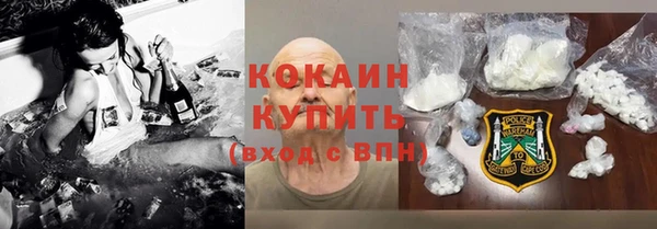 гидра Елизово