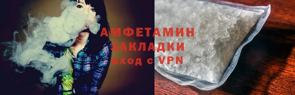 индика Ельня