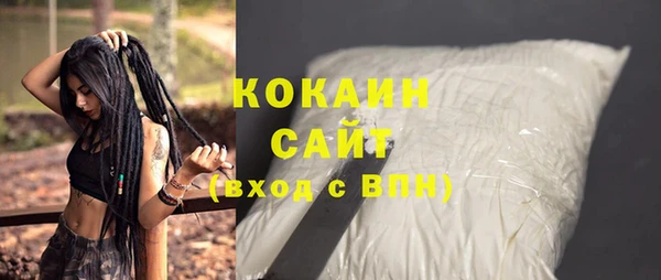 гидра Елизово