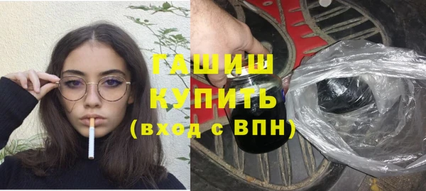 гидра Елизово