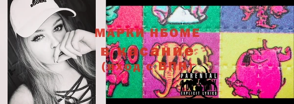 индика Ельня