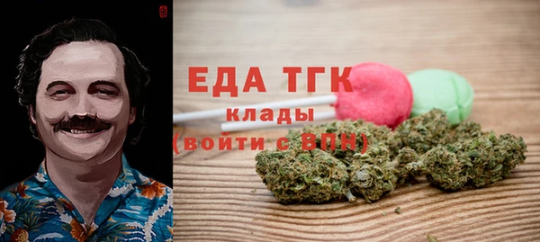 индика Ельня