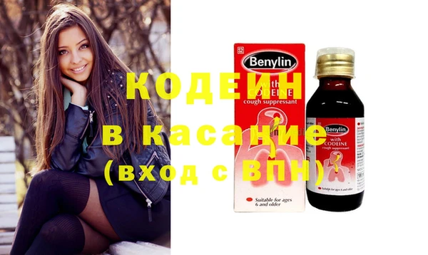 индика Ельня