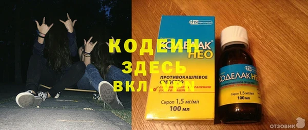 индика Ельня