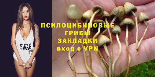 гидра Елизово