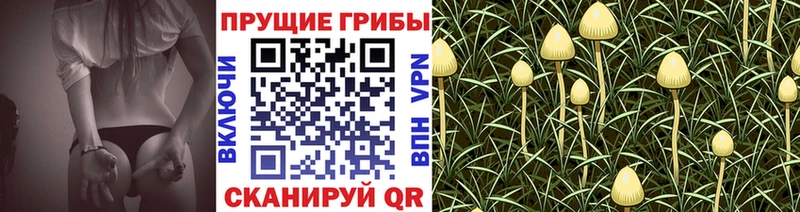 Галлюциногенные грибы прущие грибы купить закладку Полесск